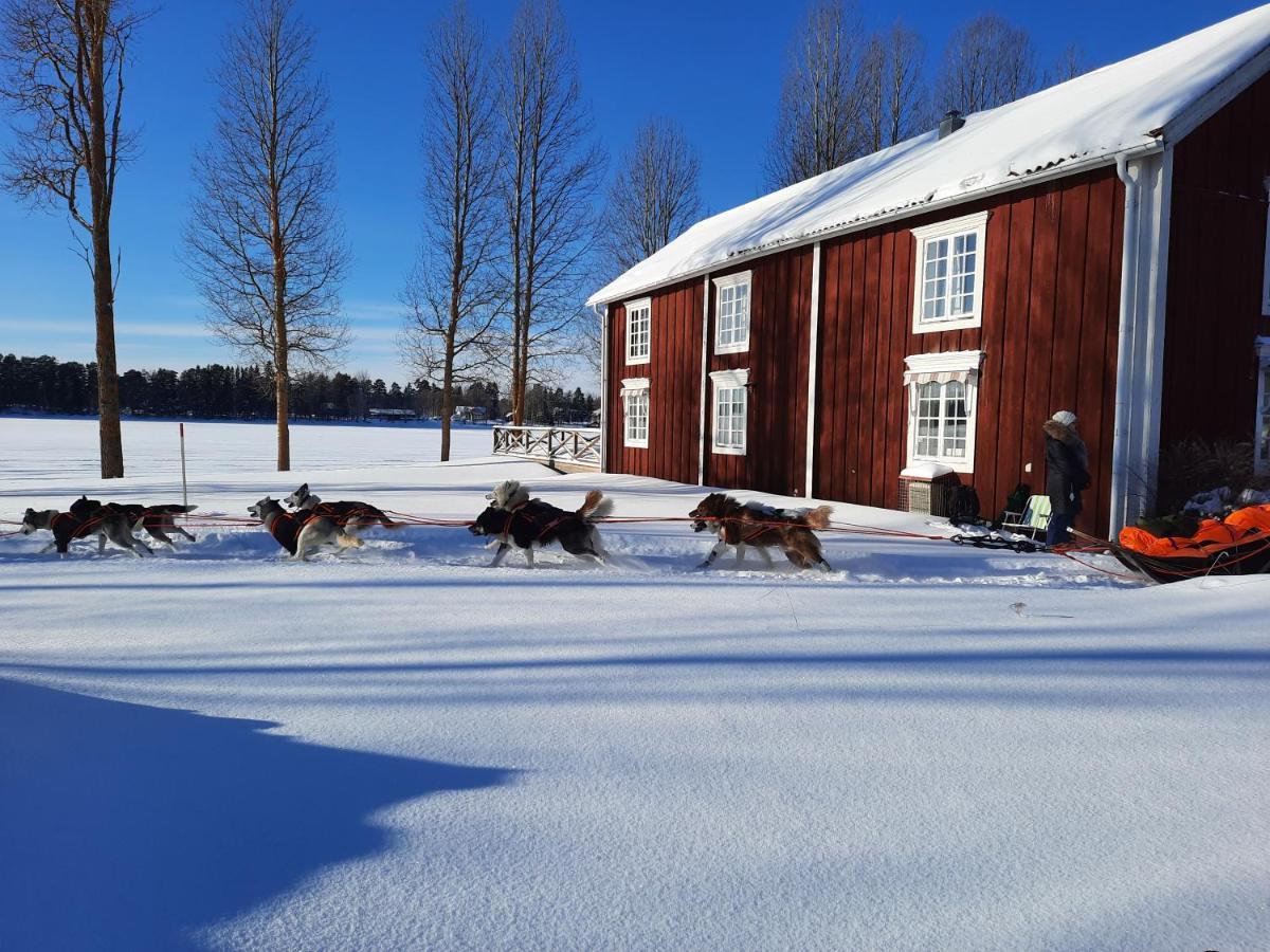 Hotel Camp Route 45 à Hammerdal Extérieur photo